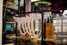 Photo of Новый парк развлечений открылся