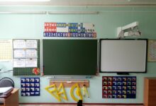 Photo of Доска из лиственницы: стильный и надежный материал