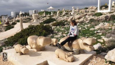 Photo of Новый парк скульптур открыт