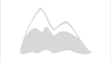 Photo of Грот с древними рисунками